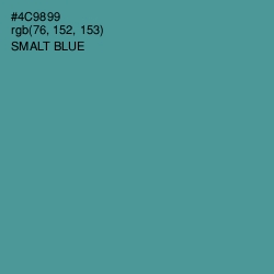 #4C9899 - Smalt Blue Color Image