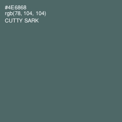 #4E6868 - Cutty Sark Color Image