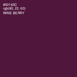 #50163C - Wine Berry Color Image