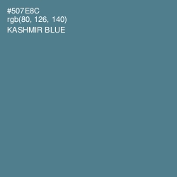 #507E8C - Kashmir Blue Color Image