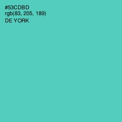 #53CDBD - De York Color Image