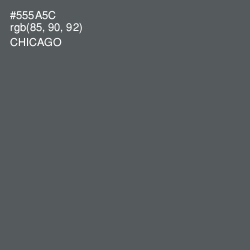 #555A5C - Chicago Color Image