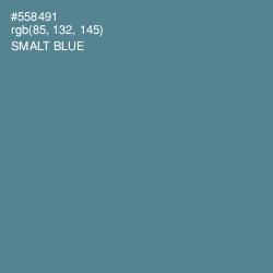 #558491 - Smalt Blue Color Image