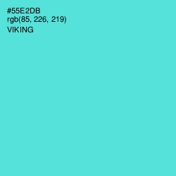 #55E2DB - Viking Color Image