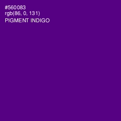 #560083 - Pigment Indigo Color Image