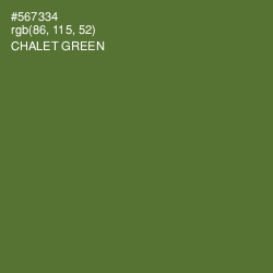 #567334 - Chalet Green Color Image