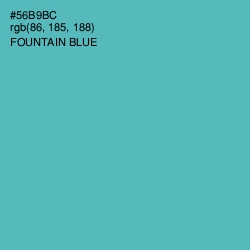 #56B9BC - Fountain Blue Color Image