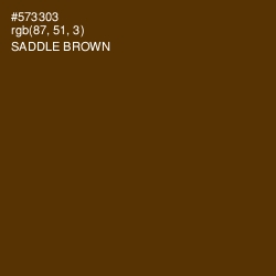#573303 - Saddle Brown Color Image