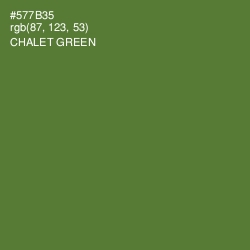 #577B35 - Chalet Green Color Image