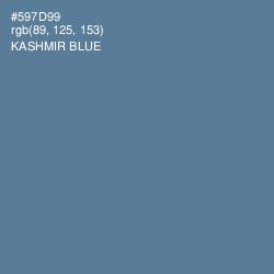 #597D99 - Kashmir Blue Color Image