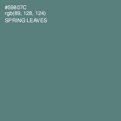 #59807C - Spring Leaves Color Image