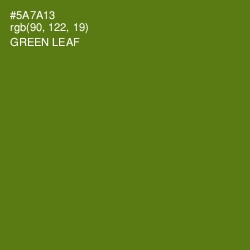 #5A7A13 - Green Leaf Color Image
