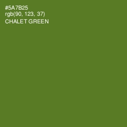 #5A7B25 - Chalet Green Color Image