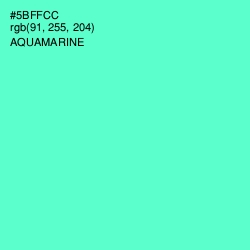 #5BFFCC - Aquamarine Color Image