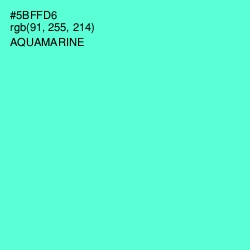 #5BFFD6 - Aquamarine Color Image