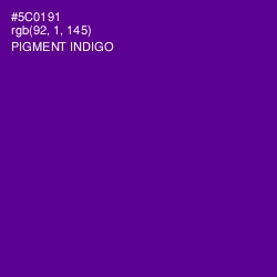 #5C0191 - Pigment Indigo Color Image