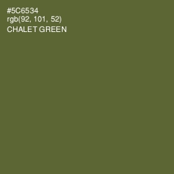 #5C6534 - Chalet Green Color Image