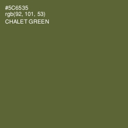 #5C6535 - Chalet Green Color Image