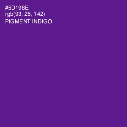 #5D198E - Pigment Indigo Color Image
