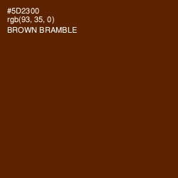 #5D2300 - Brown Bramble Color Image