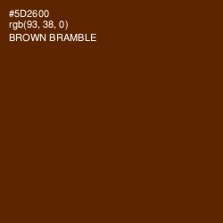 #5D2600 - Brown Bramble Color Image