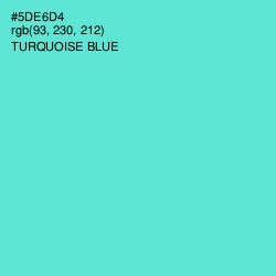 #5DE6D4 - Turquoise Blue Color Image