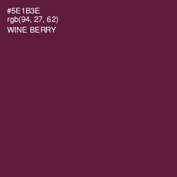 #5E1B3E - Wine Berry Color Image