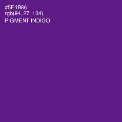 #5E1B86 - Pigment Indigo Color Image