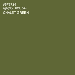 #5F6736 - Chalet Green Color Image