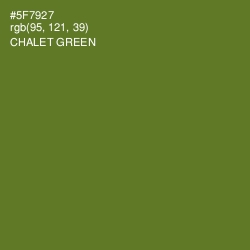 #5F7927 - Chalet Green Color Image