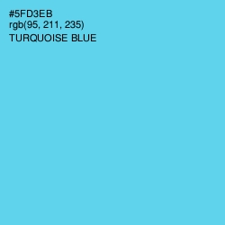 #5FD3EB - Turquoise Blue Color Image