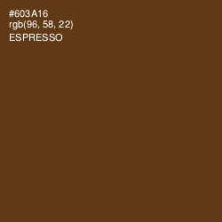 #603A16 - Espresso Color Image