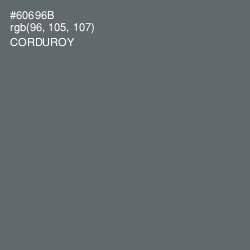 #60696B - Corduroy Color Image