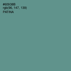 #60938B - Patina Color Image