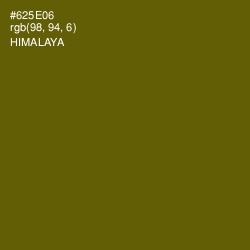#625E06 - Himalaya Color Image