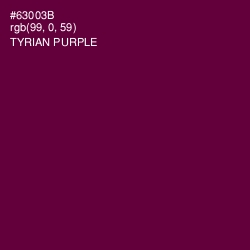 #63003B - Tyrian Purple Color Image