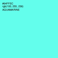#64FFEC - Aquamarine Color Image
