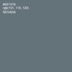 #65747A - Nevada Color Image
