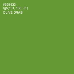 #659933 - Olive Drab Color Image