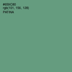 #659C80 - Patina Color Image