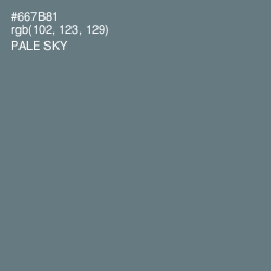 #667B81 - Pale Sky Color Image