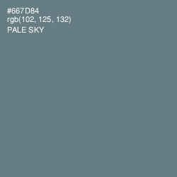 #667D84 - Pale Sky Color Image