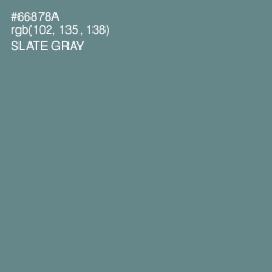 #66878A - Slate Gray Color Image