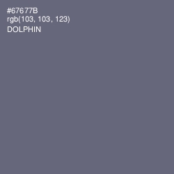 #67677B - Dolphin Color Image