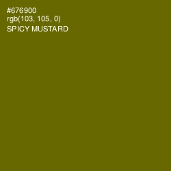 #676900 - Spicy Mustard Color Image