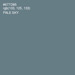 #677D85 - Pale Sky Color Image