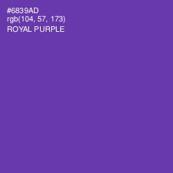 #6839AD - Royal Purple Color Image