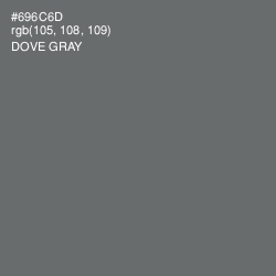 #696C6D - Dove Gray Color Image