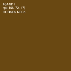 #6A4811 - Horses Neck Color Image