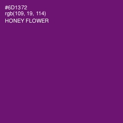 #6D1372 - Honey Flower Color Image